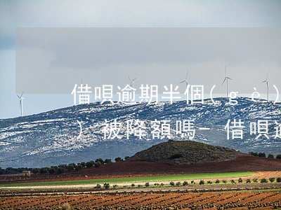 借唄逾期半個(gè)月還款后會(huì)被降額嗎-借唄逾期半個(gè)月還款后會(huì)被降額嗎怎么辦
