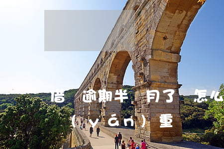 借唄逾期半個月了會怎么樣(借唄逾期了半年嚴(yán)重嗎)
