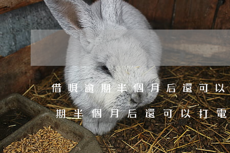 借唄逾期半個月后還可以打電話嗎-借唄逾期半個月后還可以打電話嗎怎么辦