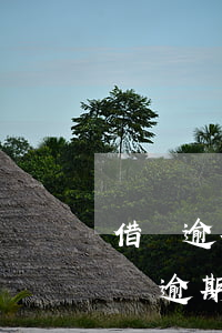 借唄逾期半個月會有什么后果?,有獎問答-借唄逾期半個月有啥影響嗎
