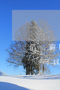 借唄逾期半個月沒還會怎樣(借唄逾期了沒錢還,可以逾期幾個月嗎)