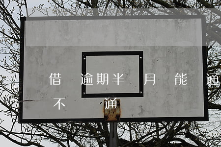 借唄逾期半個月還能開通嗎(借唄逾期過還會不會開通)