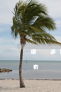 借唄逾期半小時什么結果(借唄逾期一天有沒有問題?)