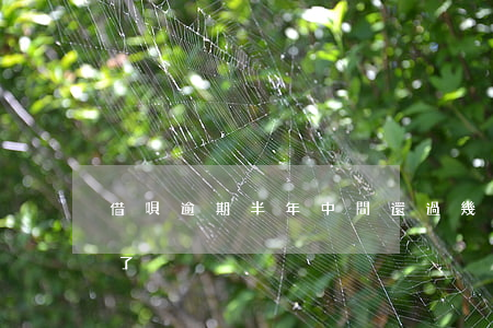 借唄逾期半年中間還過幾次(借唄逾期好幾次了)