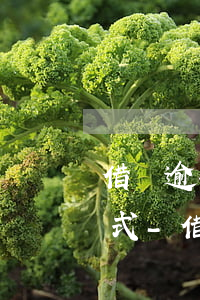 借唄逾期半年后會(huì)有什么處理方式-借唄逾期半年后會(huì)有什么處理方式嗎