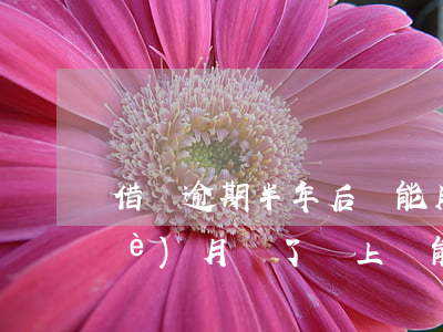 借唄逾期半年后還能用嗎(借唄逾期一個(gè)月還了馬上還能用借唄嗎)