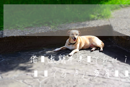 借唄逾期半年會(huì)起訴嗎(借唄逾期兩個(gè)多月沒還會(huì)不會(huì)起訴)