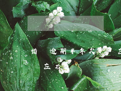 借唄逾期半年欠4萬左右(借唄逾期半年欠4萬左右)