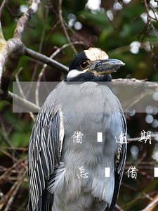 借唄逾期半年沒(méi)還會(huì)怎樣(借唄逾期一個(gè)多月沒(méi)還怎么辦)