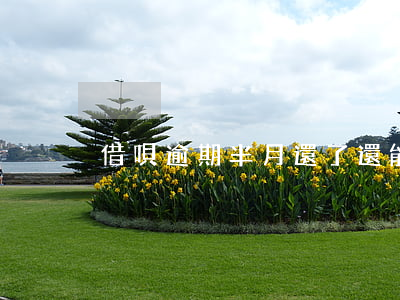 借唄逾期半月還了還能用嗎