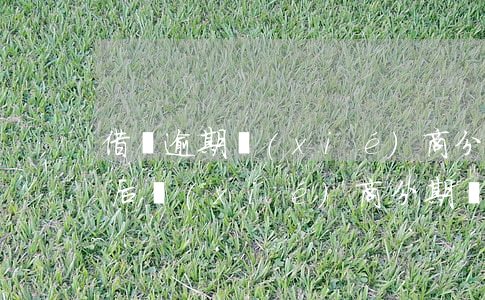 借唄逾期協(xié)商分期成功（借唄逾期后協(xié)商分期還款）
