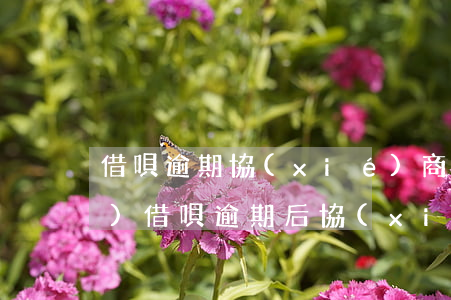 借唄逾期協(xié)商分期話術(shù)（借唄逾期后協(xié)商分期）