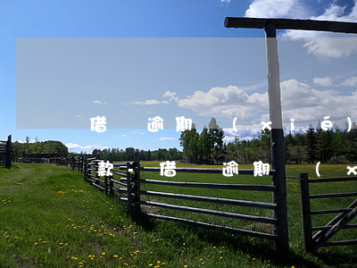 借唄逾期協(xié)商只能延期3個月還款-借唄逾期協(xié)商只能延期3個月還款嗎