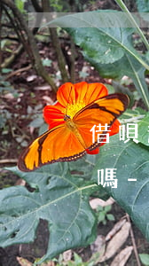 借唄逾期協(xié)商只還本金有成功的嗎-借唄逾期協(xié)商只還本金有成功的嗎怎么辦