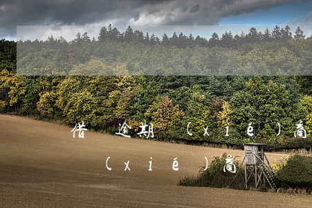 借唄逾期協(xié)商線下還款(借唄 逾期 協(xié)商)