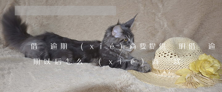 借唄逾期協(xié)商要提供證明(借唄逾期以后怎么協(xié)商還款)