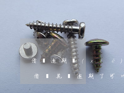 借唄逾期協(xié)商還款不同意(支付寶借唄花唄逾期了可以協(xié)商還款嗎)
