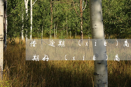 借唄逾期協(xié)商還款可行嗎(借唄逾期好協(xié)商嗎)