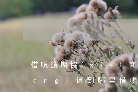 借唄逾期協(xié)商還款后款項(xiàng)還到哪里(借唄逾期可以協(xié)商還本嗎)