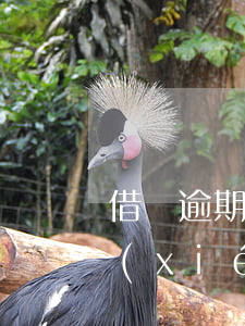 借唄逾期協(xié)商還款嗎(借唄逾期協(xié)商還款嗎)