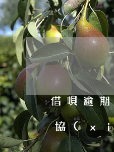 借唄逾期協(xié)商還款成功 借唄逾期協(xié)商還款成功率高嗎