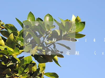 借唄逾期協(xié)商還款都是第三方談嗎-借唄逾期協(xié)商還款會上征信嗎