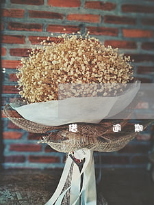 借唄逾期危害大嗎