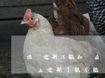 借唄逾期只能和貸后協(xié)商嗎(借唄馬上逾期了能不能協(xié)商)