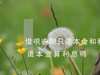 借唄逾期只還本金和利息(借唄逾期利息按未還本金算利息嗎)