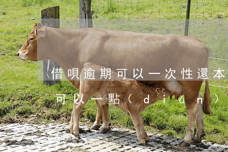 借唄逾期可以一次性還本金嗎 借唄逾期以后可以一點(diǎn)一點(diǎn)還嗎?還是必須一次性還進(jìn)去