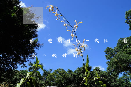 借唄逾期可以一次性還清嗎(借唄逾期多久要求一次付清)