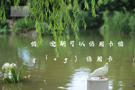 借唄逾期可以信用卡(借唄逾期還可以申請(qǐng)信用卡嗎)
