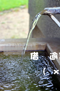 借唄逾期可以先還一點嗎(借唄逾期一天還能續(xù)借嗎)
