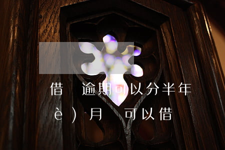 借唄逾期可以分半年還嗎(借唄逾期一個(gè)月還可以借嗎)