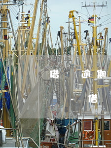 借唄逾期可以協(xié)商分48期還款嗎-借唄逾期可以協(xié)商分48期還款嗎