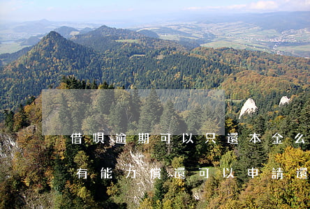 借唄逾期可以只還本金么(借唄逾期很久了,沒有能力償還,可以申請還本金嗎)