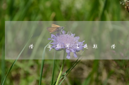 借唄逾期可以延期嗎（借唄逾期可以延期嗎）