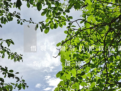 借唄逾期可以把我拉黑嗎(借唄逾期多久會讓你全部還掉)