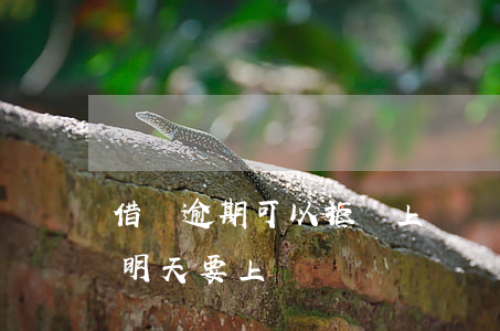 借唄逾期可以拒絕上門嗎(借唄逾期打電話說明天要上門)