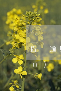 借唄逾期可以攜號(hào)轉(zhuǎn)網(wǎng)嗎(網(wǎng)貸逾期后借唄還能借出來(lái)嗎)
