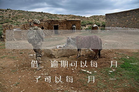借唄逾期可以每個月還一部分嗎-借唄逾期了可以每個月還一點嗎
