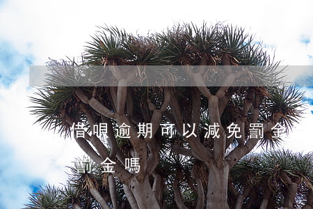 借唄逾期可以減免罰金嗎(借唄逾期可以減免罰金嗎)