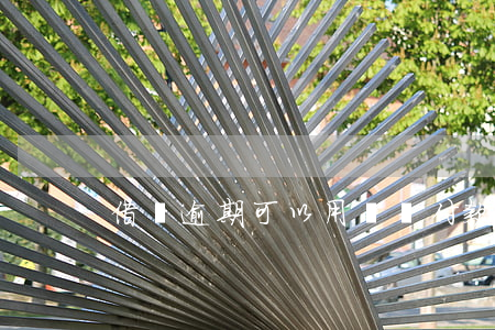 借唄逾期可以用釘釘付款么(借唄可以逾期嘛)