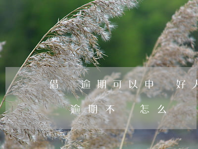 借唄逾期可以申請好人貸嗎(用借唄給別人借錢,逾期不還怎么辦)