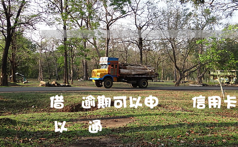 借唄逾期可以申請辦信用卡嗎(借唄逾期還可以開通嗎)