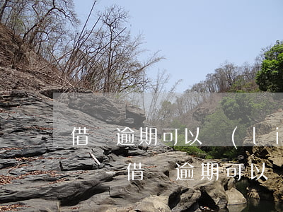 借唄逾期可以聯(lián)系客服分期還嗎-借唄逾期可以聯(lián)系客服分期還嗎安全嗎