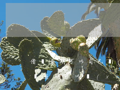 借唄逾期可以自己協(xié)商還款嗎(借唄逾期可以協(xié)商還款時間嗎)