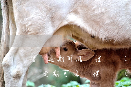 借唄逾期可以辦理興業(yè)銀行卡嗎 借唄逾期可以辦理興業(yè)銀行卡嗎知乎