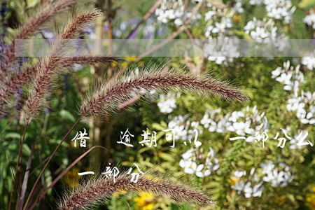 借唄逾期可以還一部分么(借唄逾期能否先還一部分)