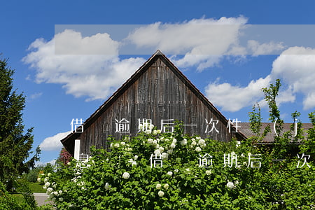 借唄逾期后一次性結(jié)清能減免利息嗎-借唄逾期后一次性結(jié)清能減免利息嗎是真的嗎